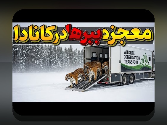 سایت هات بت ورود بدون فیلتر: راهی ساده و امن برای دسترسی به شرط بندی آنلاین